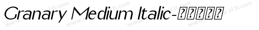 Granary Medium Italic字体转换